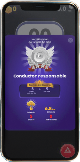 Conductor Responsable